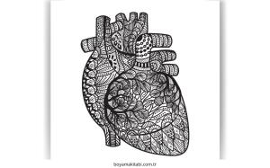 Kalp boyama sayfası – yaratıcılık, eğlenceli etkinlik