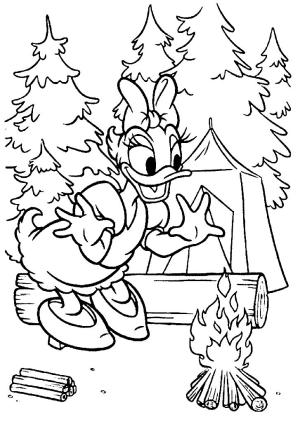 Kamp boyama sayfası,  coloring page, , Daisy Duck Camping