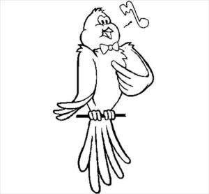 Kanarya Kuşu boyama sayfası,  coloring page, Kanarya şarkı, 