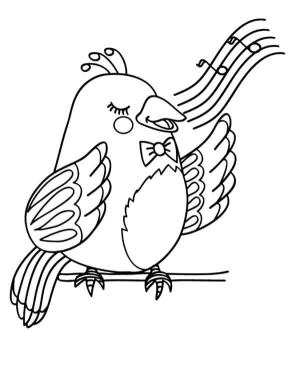 Kanarya Kuşu boyama sayfası,  coloring page, Kanarya Güzel Ses, 