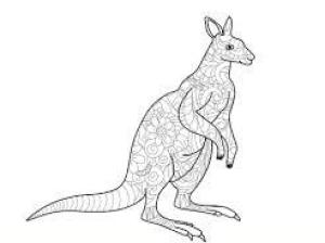 Kanguru boyama sayfası, kangaroos coloring page, Sert Kanguru, 