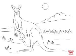 Kanguru boyama sayfası, kangaroos coloring page, , kangaroos cute kangaroo with a joey 