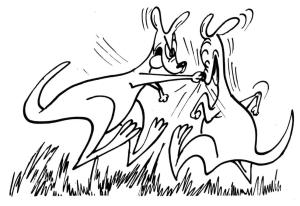 Kanguru boyama sayfası, kangaroos coloring page, Two Kangaroos Fighting, 