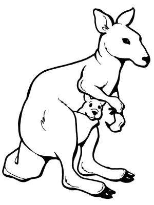 Kanguru boyama sayfası, kangaroos coloring page, Mother And Baby Kangaroo, 