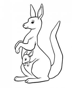 Kanguru boyama sayfası, kangaroos coloring page, Büyük Anne ve Bebek Kanguru, 