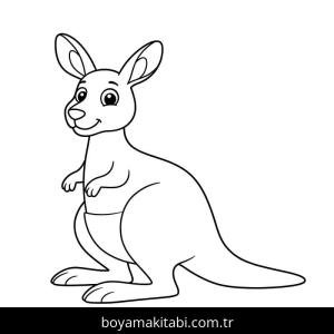 Kanguru boyama sayfası – renkli çizimler, okul öncesi