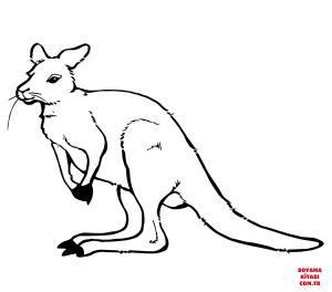 Kanguru boyama sayfası, kangaroos coloring page, , kangaroos cute kangaroo 