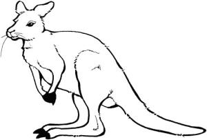 Kanguru boyama sayfası, kangaroos coloring page, Basit Kanguru, 