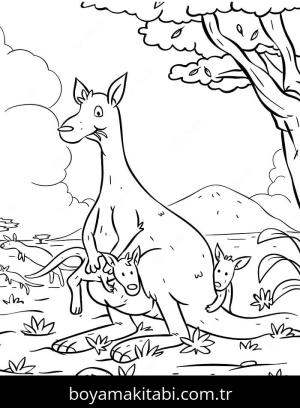 Kanguru boyama sayfası – yaratıcılığı geliştirir, keyifli zaman