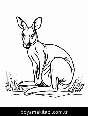 Kanguru boyama sayfası – PDF indir, sevimli karakter