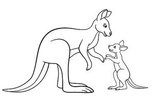 Kanguru boyama sayfası, kangaroos coloring page, Temel Anne ve Bebek Kanguru, 