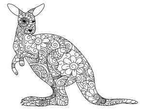 Kanguru boyama sayfası, kangaroos coloring page, Kanguru Yetişkinler Içindir, 