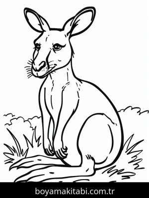 Kanguru boyama sayfası – eğlenceli etkinlik, el becerilerini geliştirir