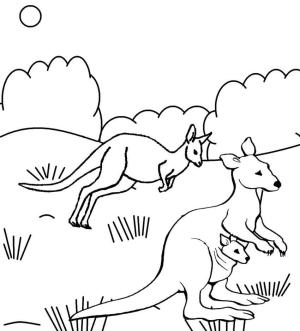 Kanguru boyama sayfası, kangaroos coloring page, Üç Kanguru, 