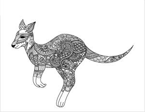 Kanguru boyama sayfası, kangaroos coloring page, Kanguru Yetişkin, 