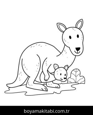 Kanguru boyama sayfası – boyama etkinliği, çocuk aktivitesi