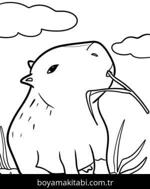 Kapibara boyama sayfası – el becerilerini geliştirir, boyama çalışması