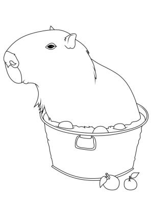 Kapibara boyama sayfası,  coloring page, Ücretsiz Yazdırılabilir Kapibara, 