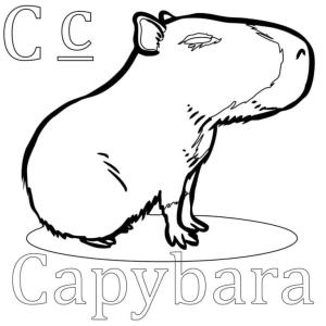 Kapibara boyama sayfası,  coloring page, Küçük Kapibara, 