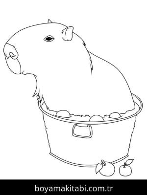 Kapibara boyama sayfası – sanatsal çalışma, çocuklar için
