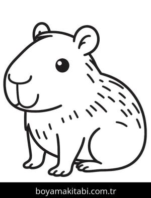 Kapibara boyama sayfası – eğitici aktivite, yaratıcılık