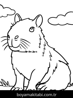 Kapibara boyama sayfası – renkli çizimler, okul öncesi