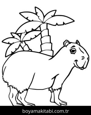 Kapibara boyama sayfası – kolay boyama, eğitici aktivite