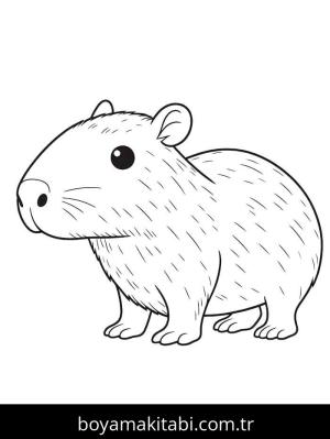 Kapibara boyama sayfası – keyifli zaman, renkli çizimler