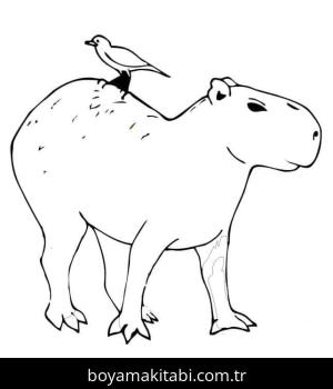 Kapibara boyama sayfası – ücretsiz yazdır, boyama etkinliği