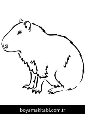 Kapibara boyama sayfası – eğlenceli etkinlik, el becerilerini geliştirir