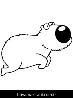 Kapibara boyama sayfası – boyama çalışması, yaratıcılığı geliştirir