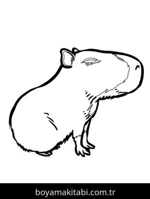 Kapibara boyama sayfası – çizgi film temalı, basit çizim
