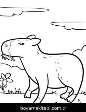 Kapibara boyama sayfası – sevimli karakter, sanatsal çalışma