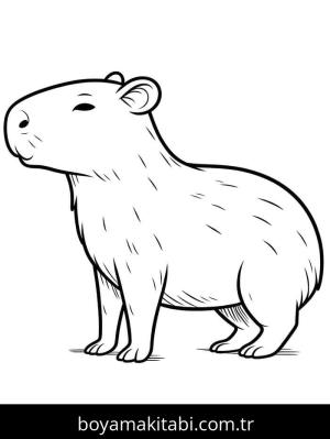 Kapibara boyama sayfası – evde etkinlik, ücretsiz yazdır