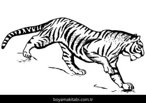 Kaplan boyama sayfası – keyifli zaman, renkli çizimler