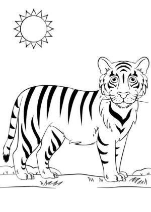 Kaplan boyama sayfası, Tigers coloring page, Hoş Kaplan, 