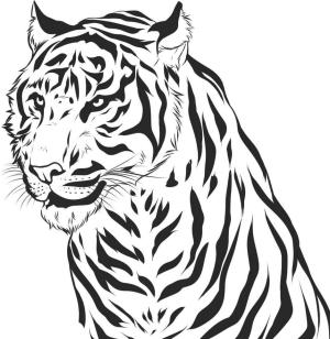 Kaplan boyama sayfası, Tigers coloring page, Kaplanın Portresi, 