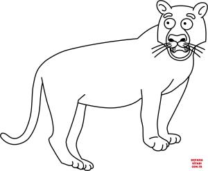 Kaplan boyama sayfası, Tigers coloring page, , tigers funny tiger without stripes 