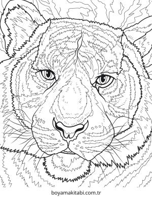 Kaplan boyama sayfası – yaratıcılığı geliştirir, keyifli zaman