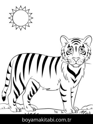 Kaplan boyama sayfası – çocuk aktivitesi, PDF indir