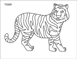 Kaplan boyama sayfası, Tigers coloring page, Eğlence Kaplan, 