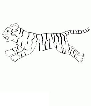 Kaplan boyama sayfası, Tigers coloring page, Temel Kaplan Koşusu, 