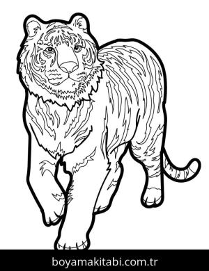 Kaplan boyama sayfası – sevimli karakter, sanatsal çalışma