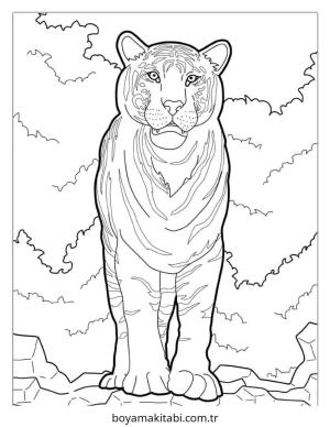 Kaplan boyama sayfası – çocuklar için, çizgi film temalı