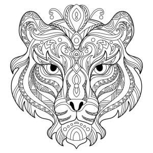 Kaplan boyama sayfası, Tigers coloring page, Dolaştırmak Kaplan Kafası, 