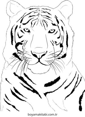 Kaplan boyama sayfası – boyama etkinliği, çocuk aktivitesi