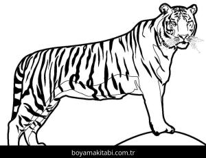 Kaplan boyama sayfası – eğlenceli etkinlik, el becerilerini geliştirir