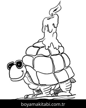 Kaplumbağa Boyama