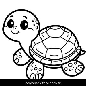 Kaplumbağa Boyama