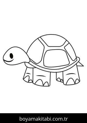 Kaplumbağa Boyama